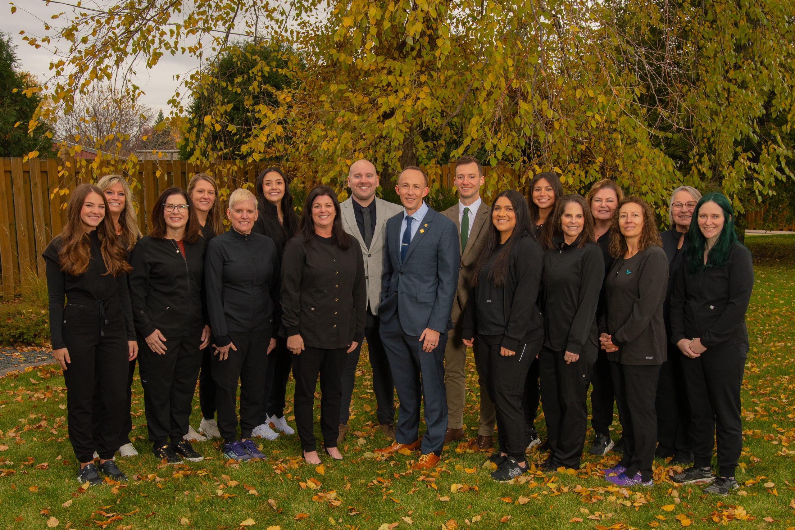 Dentist in Rochester