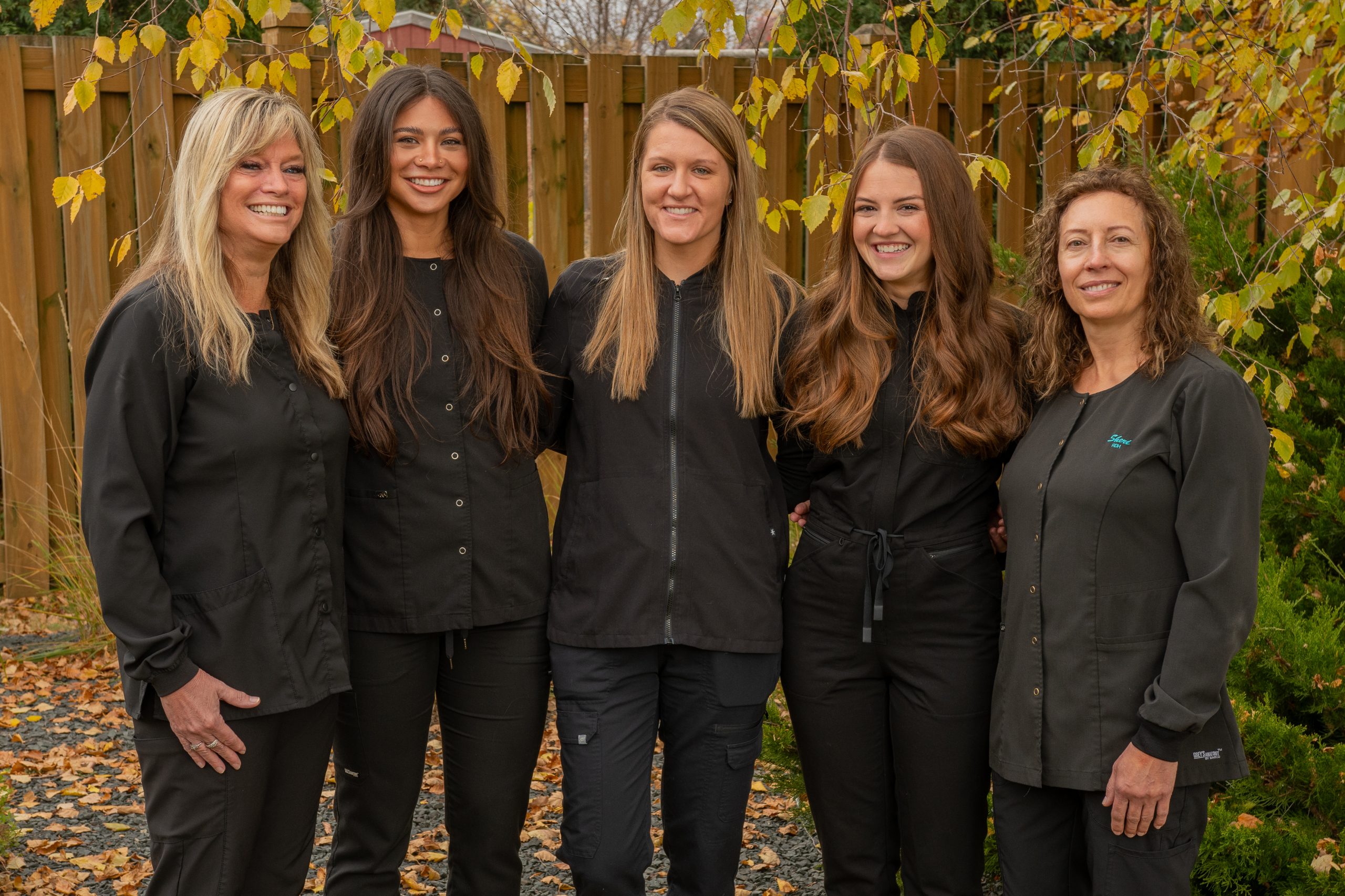 Dentist in Rochester